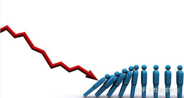 图片[3]-如何开办一家宠物店？-一鸣资源网