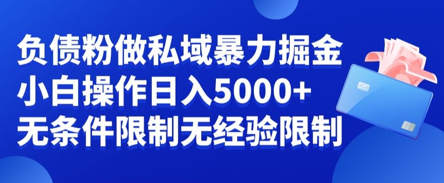 负债粉私域暴力掘金，新手操作入5000，无经验限制，无条件限制-一鸣资源网