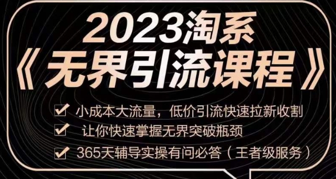 2023淘系无界引流实操课程,小成本大流量,低价引流快速拉新收割,让你快速掌握无界突破瓶颈
