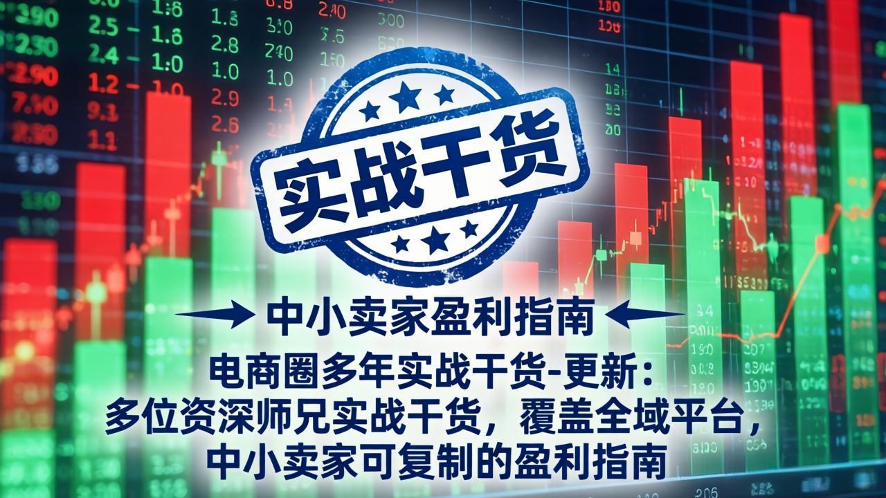 电商圈多年实战干货-更新4月：多位资深师兄实战干货，覆盖全域平台，中小卖家可复制的盈利指南-一鸣资源网