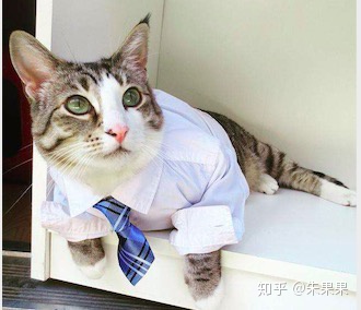 图片[7]-做什么销售比较好？-一鸣资源网