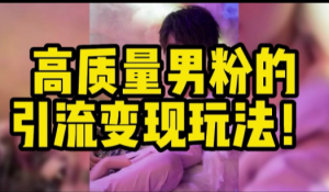 最新男粉引流 一天引流几百人 日赚1千-一鸣资源网