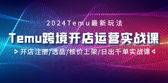 图片[1]-2024Temu跨境开店运营实战教程，开店注册/选品/核价上架/日出千单实战课-阿灿说钱