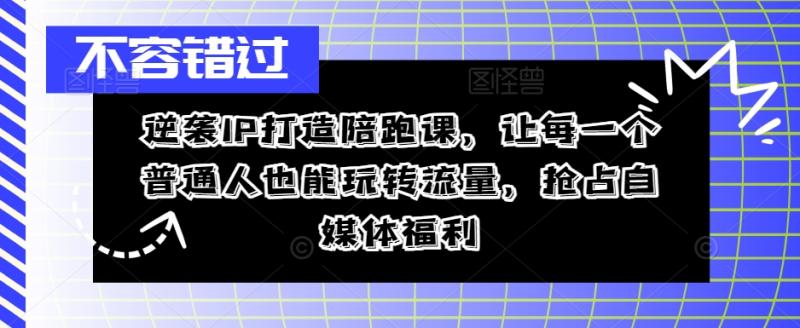 逆袭IP打造陪跑课,让每一个普通人也能玩转流量,抢占自媒体福利 逆袭IP打造陪跑课,让每一个普通人也能玩转流量,抢占自媒体福利