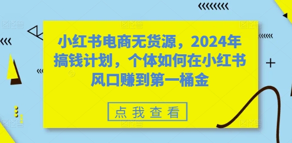 小红书电商无货源,2024年搞钱计划,个体如何在小红书风口赚到第一桶金-一鸣资源网