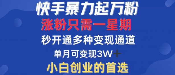 快手暴力起万粉,涨粉只需一星期,多种变现模式,直接秒开万合,单月变现过W【揭秘】 快手暴力起万粉,涨粉只需一星期,多种变现模式,直接秒开万合,单月变现过W【揭秘】