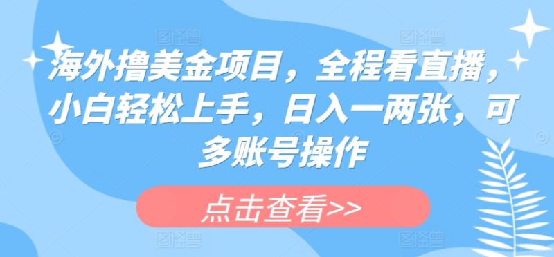海外撸美金项目,全程看直播,小白轻松上手,日入一两张,可多账号操作【揭秘】 海外撸美金项目,全程看直播,小白轻松上手,日入一两张,可多账号操作【揭秘】