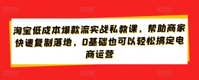 淘宝低成本爆款流实战私教课,帮助商家快速复制落地,0基础也可以轻松搞定电商运营 淘宝低成本爆款流实战私教课,帮助商家快速复制落地,0基础也可以轻松搞定电商运营