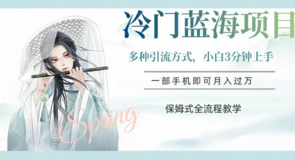 图片[1]-蓝海冷门项目，轻松操作，新手3分钟简单上手，多种引流策略，保姆式全流程教学【揭秘】-阿灿说钱