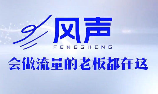 董十一·风声短视频AI获客年度会员-一鸣资源网