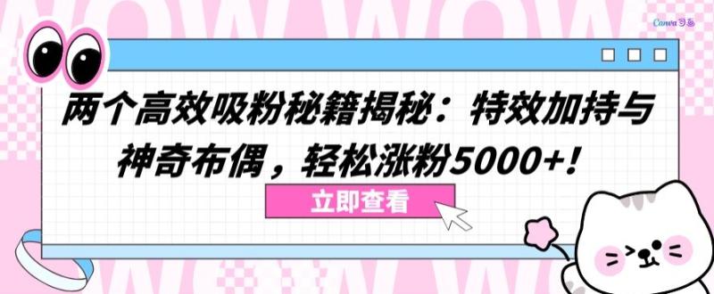 教你两个高效吸粉秘籍:特效加持与神奇布偶,轻松涨粉5000+【揭秘】 教你两个高效吸粉秘籍:特效加持与神奇布偶,轻松涨粉5000+【揭秘】