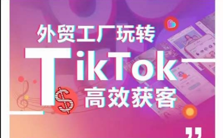 快速获客技巧揭秘：外贸工厂如何在TikTok玩转引流，拆解爆款短视频打造成功案例-一鸣资源网