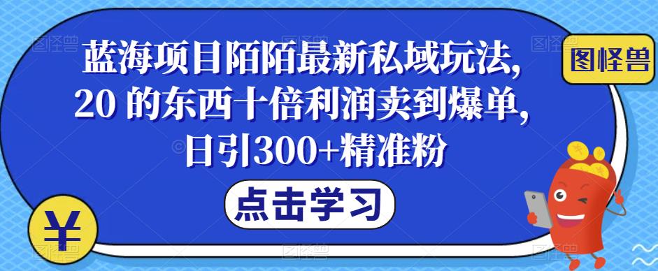 蓝海项目陌陌最新私域玩法,20 的东西十倍利润卖到爆单,日引300+精准粉【揭秘】