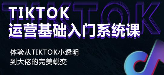 图片[1]-Tiktok实操进阶课程，体验从tiktok小透明到大佬的完美蜕变-一鸣资源网