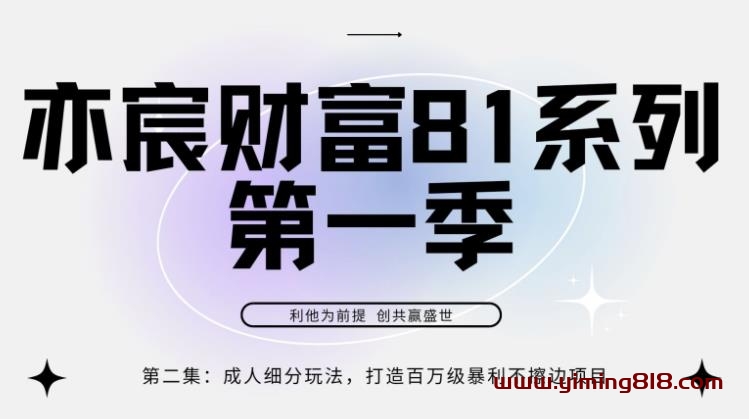 亦宸财富81系列第1季第2集：成人细分玩法，打造百万级暴利不擦边项目-一鸣资源网