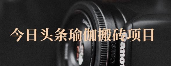 图片[1]-猎人社区·今日头条瑜伽搬砖项目，单号一天几十收入，可以批量操作！-挖财365