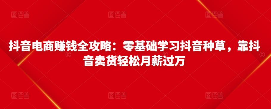 抖音电商赚钱全攻略：零基础学习抖音种草，靠抖音卖货轻松月薪过万-一鸣资源网