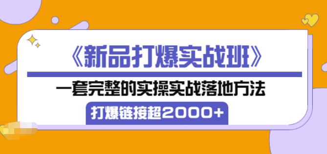 高客单价《新品打爆实战班》,一套完整的实操实战落地方法,打爆链接超2000+(28节课) 高客单价《新品打爆实战班》,一套完整的实操实战落地方法,打爆链接超2000+(28节课)
