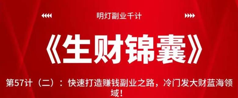 明灯副业千计—《生财锦囊》第57计（二）：快速打造赚钱副业之路，冷门发大财蓝海领域！【视频课程】-一鸣资源网