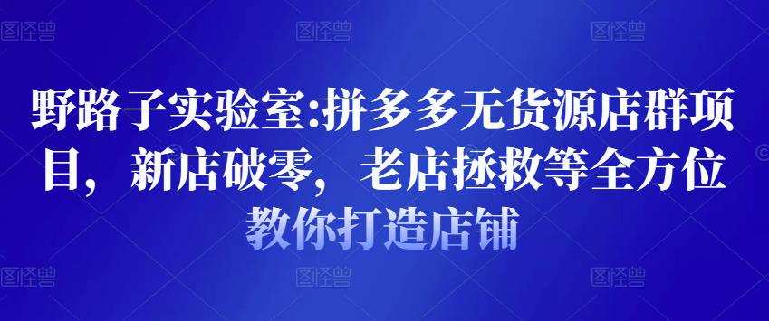 2022拼多多无货源店群项目,新店破零,老店拯救等全方位教你打造店铺 2022拼多多无货源店群项目,新店破零,老店拯救等全方位教你打造店铺