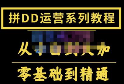 2022全套拼多多核心实操课程，从0-1轻松起链接实战，低投入高产出运作店铺-一鸣资源网