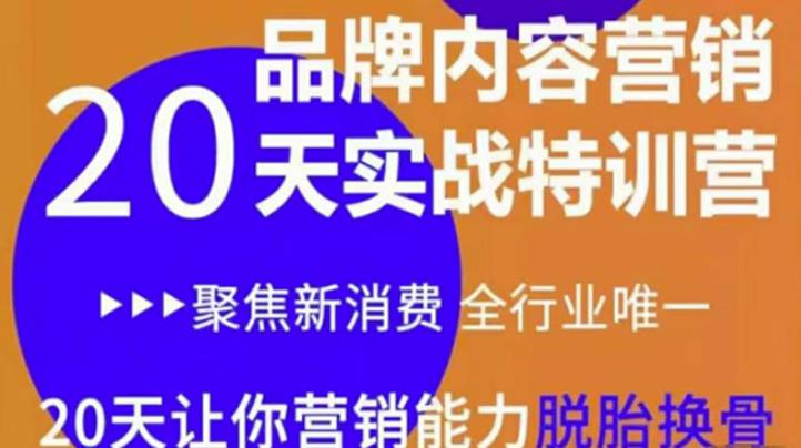《内容营销实操特训营》20天让你营销能力脱胎换骨(价值3999) 《内容营销实操特训营》20天让你营销能力脱胎换骨(价值3999)