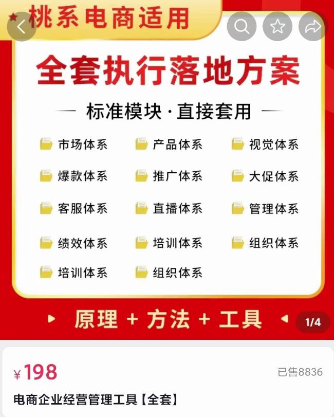 外面卖198·电商企业经营管理工具:全套执行落地方案标准模块·直接套用 外面卖198·电商企业经营管理工具:全套执行落地方案标准模块·直接套用