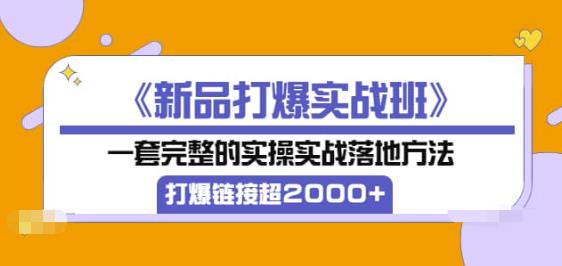 《新品打爆实战班》一套完整的实操实战落地方法,打爆链接超2000+(38节课) 《新品打爆实战班》一套完整的实操实战落地方法,打爆链接超2000+(38节课)