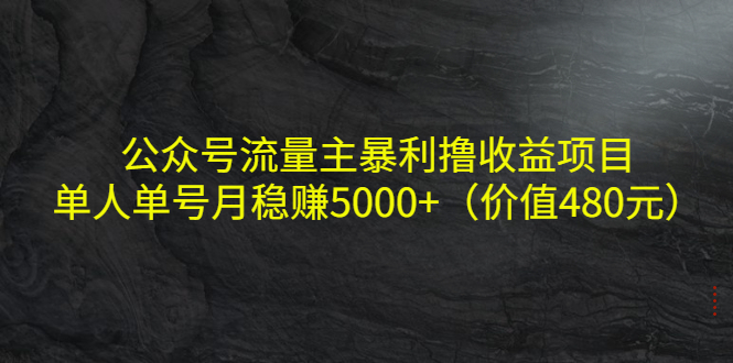 公众号流量主暴利撸收益项目,单人单号月稳赚5000+(价值480元) 公众号流量主暴利撸收益项目,单人单号月稳赚5000+(价值480元)