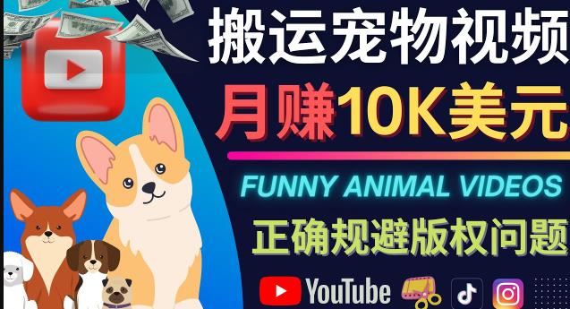 图片[1]-搬运TIKTOK视频到YouTube，并进行二次创作，月赚1万美元以上-一鸣资源网