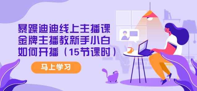 图片[1]-暴躁迪迪线上主播课，金牌主播教新手小白如何开播（15节课时）-一鸣资源网