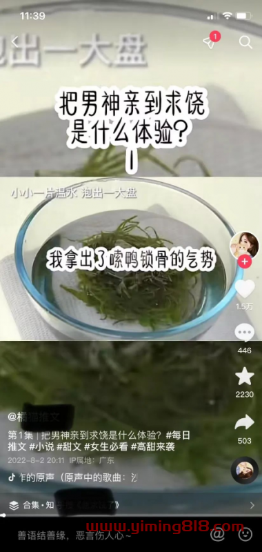 可批量复制的小说无本生意新玩法,手把手教你打造被动收入管道!