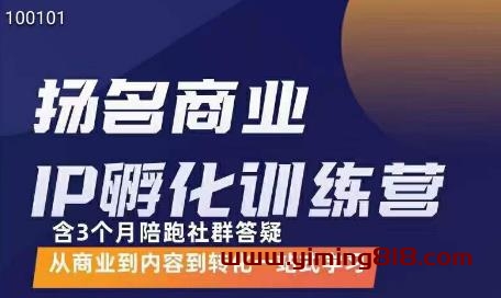 王扬名·商业IP孵化训练营，从商业到内容到转化一站式学习