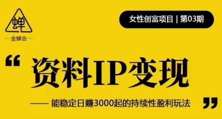 资料IP变现,能稳定日赚3000起的持续性盈利玩法