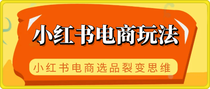 菲菲老师·小红书电商玩法-一鸣资源网