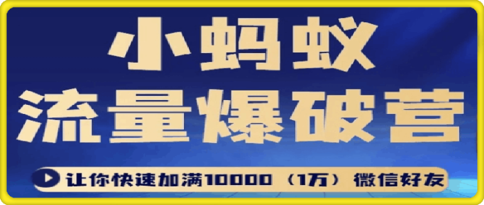 小蚂蚁流量爆破营-一鸣资源网
