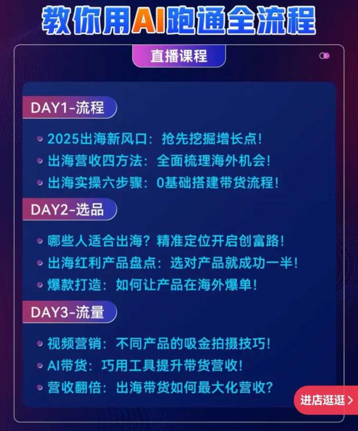 出海夺金从0-1跑通出海全流程 出海夺金从0-1跑通出海全流程