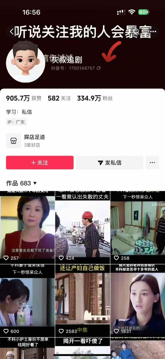 灰叔追剧影视搬运，334w粉丝博主，纯手法操作