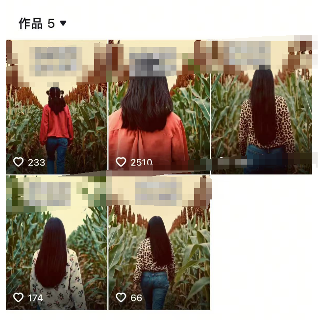 抖音暴力涨粉技术,一天保底1-10万粉 抖音暴力涨粉技术,一天保底1-10万粉