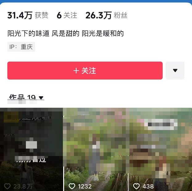 抖音暴力涨粉技术，一天保底1-10万粉