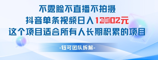 不露脸不直播不拍摄抖音单条视频日入1k+这个项目适合所有人长期积累的项目-一鸣资源网