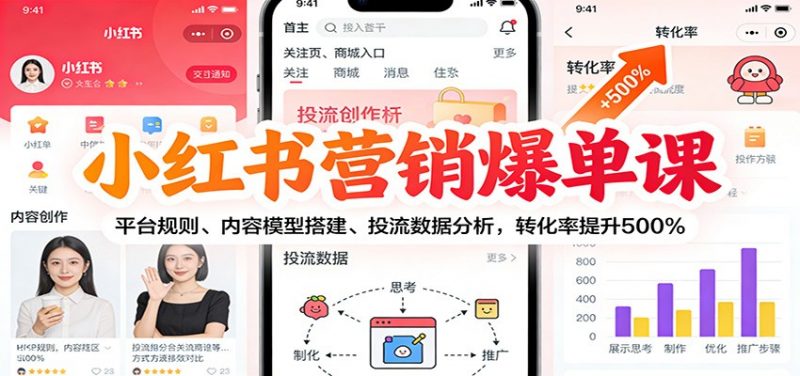 小红书营销爆单课：平台规则、内容模型搭建、投流数据分析，转化率提升500% -1