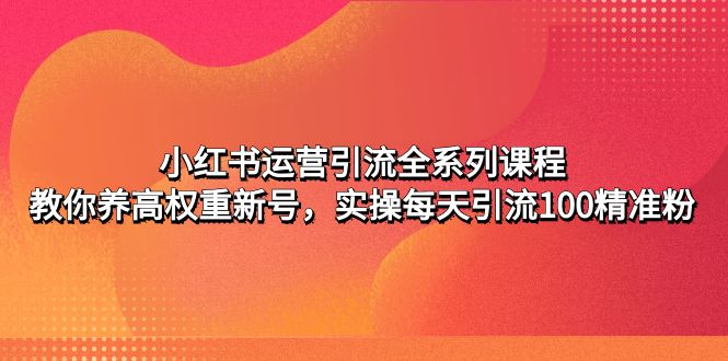 小红书运营引流全系列课程:教你养高权重新号,实操每天引流100精准粉 小红书运营引流全系列课程:教你养高权重新号,实操每天引流100精准粉