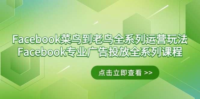 Facebook-菜鸟到老鸟全系列运营玩法+Facebook-专业广告投放全系列课程-一鸣资源网