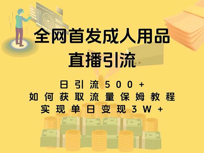 最新全网独创首发,成人用品直播引流获客暴力玩法,单日变现3w保姆级教程-一鸣资源网