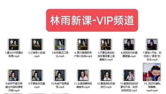 林雨新课VIP频道，玩赚私域/朋友圈/社群-一鸣资源网