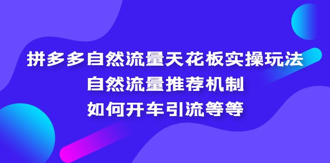 拼多多自然流量天花板实操玩法:自然流量推荐机制,如何开车引流等等 拼多多自然流量天花板实操玩法:自然流量推荐机制,如何开车引流等等