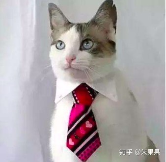 图片[6]-做什么销售比较好？-一鸣资源网