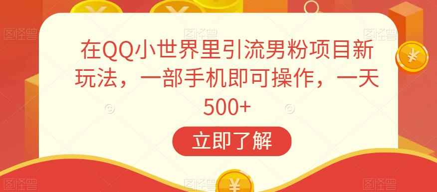 在QQ小世界里引流男粉项目新玩法，一部手机即可操作，一天500+【揭秘】-一鸣资源网