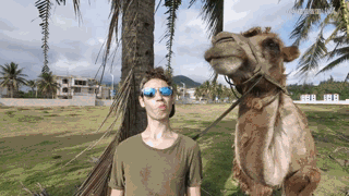 图片[2]-关于我的四位朋友，以及她们推荐的视频博主。-一鸣资源网